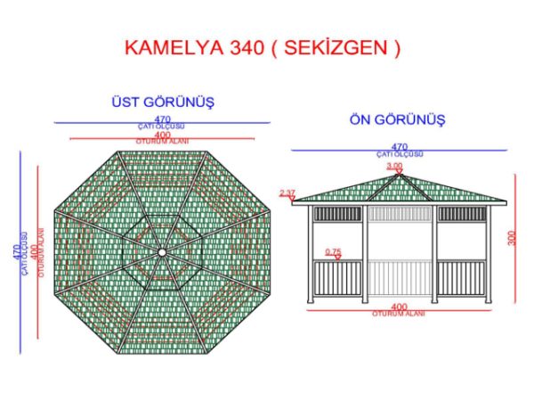 kamelya.340.altigen.teknik.cizim_.c